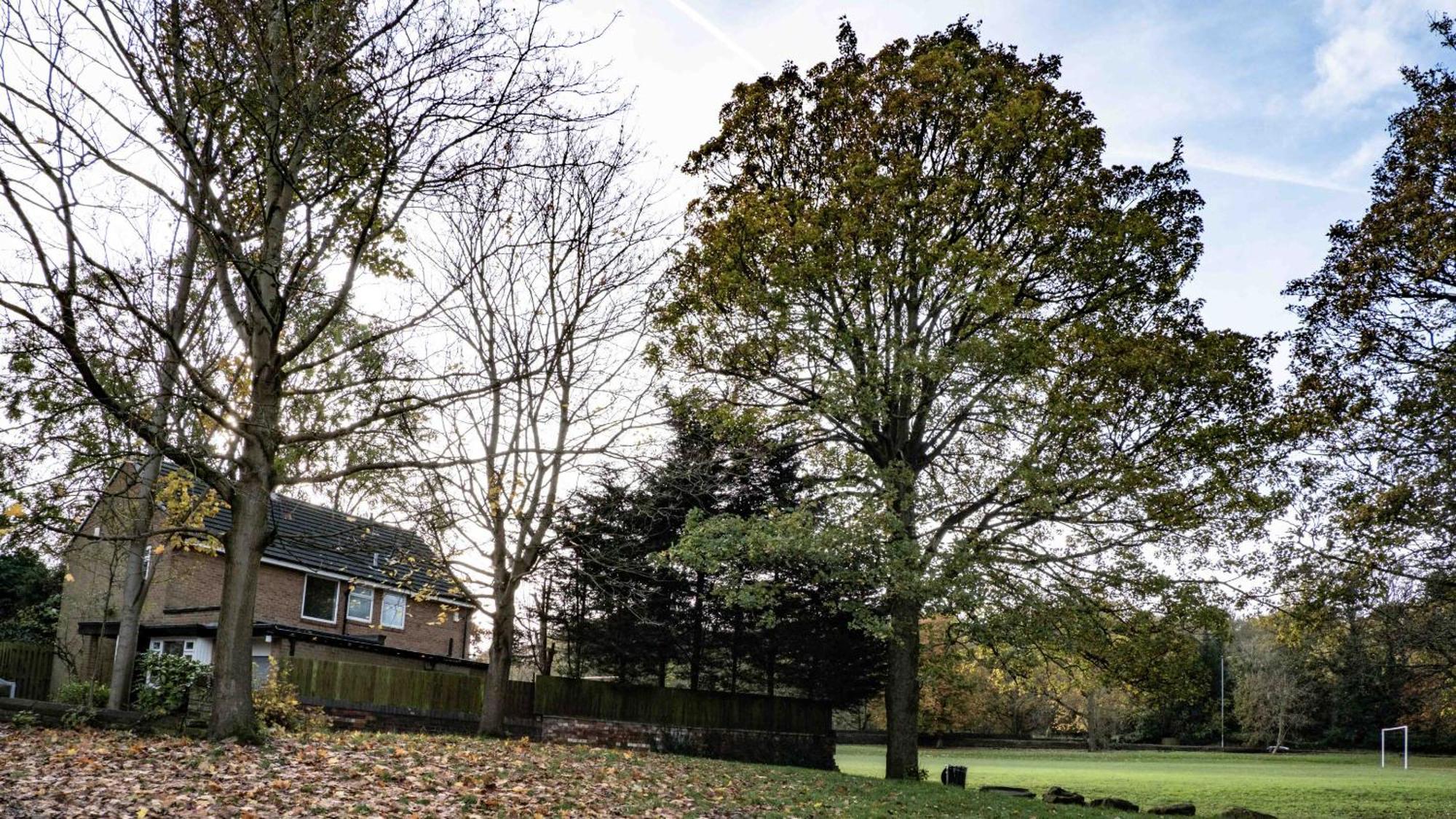 Cross Lane Cottage Pudsey Exterior photo